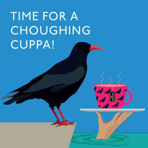 Illustration of a cough on a cliff with a cup of tea rising on a tray held by a hand from the sea. With the headline: Time For A  Coughing Cuppa!