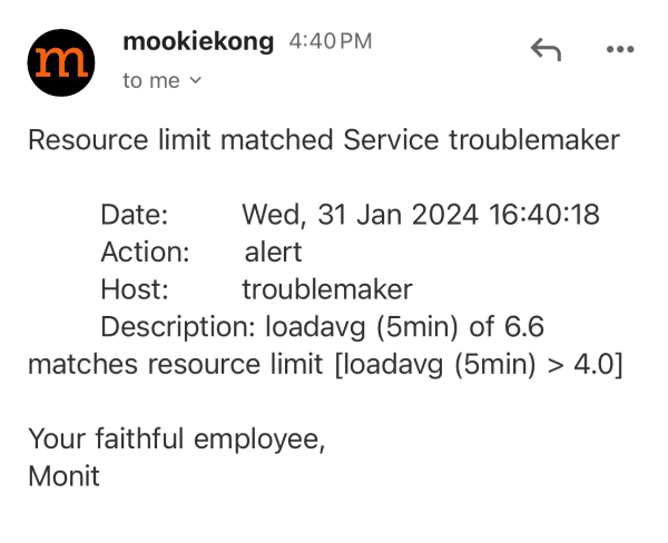 Resource limit matched Service troublemaker

        Date:        Wed, 31 Jan 2024 16:40:18
        Action:      alert
        Host:        troublemaker
        Description: loadavg (5min) of 6.6 matches resource limit [loadavg (5min) > 4.0]

Your faithful employee,
Monit