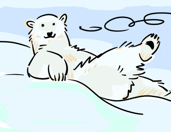 A polar bear leg up.