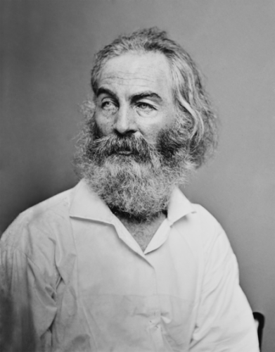 An 1862 photograph of Whitman taken by the famous photographer and journalist Mathew Brady. He’s wearing a white shirt, with long gray beard and hair, looking off to the side. By Walt_Whitman_-_Brady-Handy.jpg:Mathew Benjamin Brady(1822–1896)DescriptionAmerican photographer, war photographer, photojournalist and journalistDate of birth/death18 May 182215 January 1896Location of birth/deathNew YorkManhattanWork periodfrom 1844 until circa 1887Work locationNew York City, Washington, D.C.Authority file: Q187850VIAF: 22965552ISNI: 0000 0001 2209 4376ULAN: 500126201LCCN: n81140569NAID: 10570155WorldCatderivative work: Beao - Walt_Whitman_-_Brady-Handy.jpg, Public Domain, https://commons.wikimedia.org/w/index.php?curid=9665739