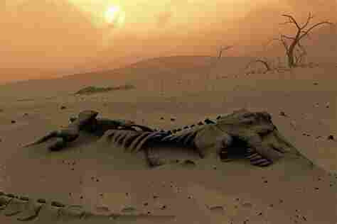Desert with sand dunes and a skeleton of annimal.