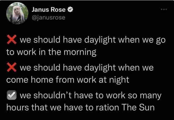 Wrong: we should have daylight when we go to work in the morning

Wrong: we should have daylight when we come home from work at night

Correct: we shouldn't have to work so many hours that we have to ration the sunlight


