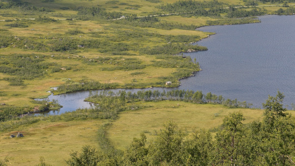 A photo of a river where it comes out of a lake. There are trees and vegetation covering the surrounding land.