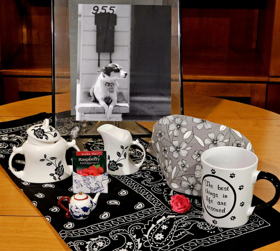 A tea tableau in black & white with tiny touches of red, backed by a large black & white photographic portrait of a black & white rat terrier dog. The little dog is in repose, front legs crossed, on a porch step below a mailbox hung by a house door, with an address number. The dog is watching with patient expectation toward his left, as if waiting for his person to appear.