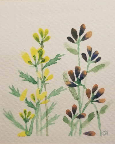 Watercolor flower patch. Flowers have tall stems, long leaves, & small yellow or pinky-blue petals.