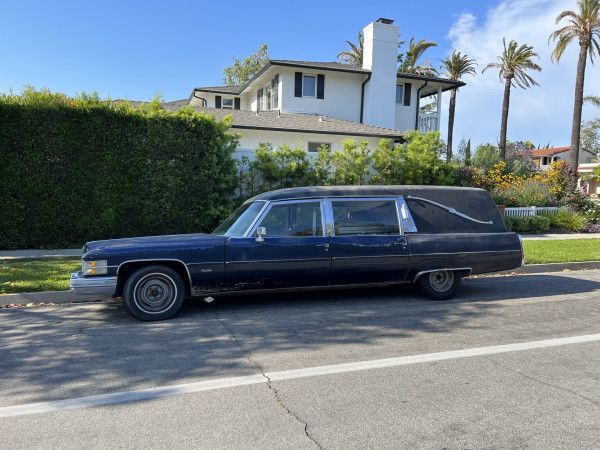 large black cadillac sedan converted into a hearse. casket in back if you peer closely. sunny skies and palm trees in background 