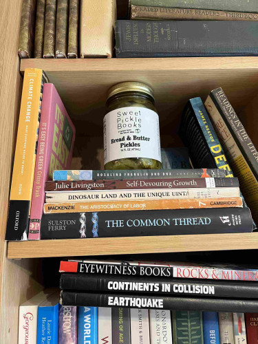 Pickle jars hiding in the book stacks at Sweet Pickle Books in New York City.