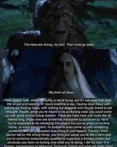 Orc: The trees are strong, my lord. Their roots go deep.

Saruman: Rip them all down.

Orc (the words fill up the image): Yeah alright, look, what I’m saying is we’re trying, but it’s not really that easy. We’ve got orcs working 6+ hours overtime a day, hauling down trees with nothing but fucking ropes, with nothing but maggots and mouldy bread to eat. I thought, maybe, since you’re meant to be so fucking wise, you could come up with some kind of actual solution. There are trees here with roots like 50 metres long, those ones are borderline impossible to pull down by hand. You’re supposed to be managing this project but you’ve given us no time frame, no extra equipment, no budget to even come up with something ourselves and you expect everything to just happen. Frankly I think Sauron bet on the wrong horse, you think just cause you’re like a demi-god you’re somehow automatically qualified to supervise a forestry project but obviously you have no fucking clue what you’re doing. I did my Cert. V in forestry management at Mirkwood Technical School and what we really need -