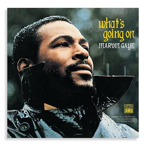 Album cover for What's Going On by Marvin Gaye