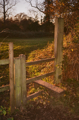 A wooden stile, a bit of low wooden fence with a board set to help a walker get over, leads into a field in the afternoon sun. The sun shines on the brambles nearby, but the further trees are in shadow. Colour photo.