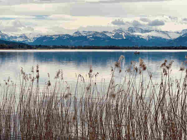 A serene lake with reeds in the foreground and distant snow-capped mountains under a cloudy sky. A small boat is visible on the water.