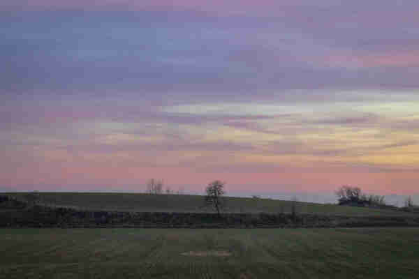 Foto donde se ve un campo con un cielo con los colores del atardecer.

You can see a field with a sunset sky.