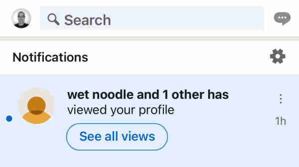 Screenshot of LinkedIn notifications. Notification reads “wet noodle and 1 other has viewed your profile”.