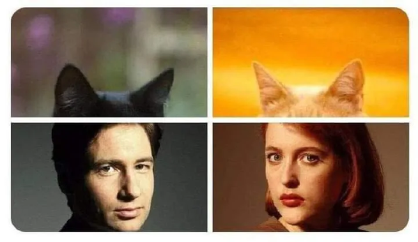 On the left: Fox Mulder with cat ears.
On the right: Dana Scully with cat ears.