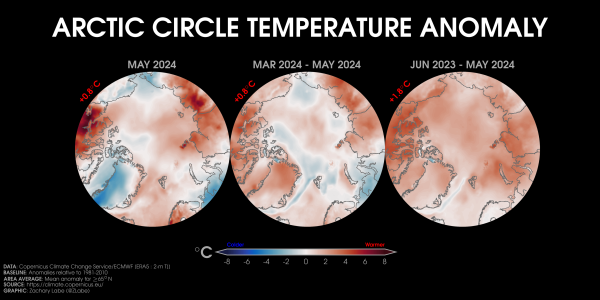 Three orthographic maps showing 2-m air temperature anomalies in May 2024, March 2024 to May 2024, and June 2023 to May 2024. Red shading is shown for warmer anomalies, and blue shading is shown for colder anomalies. Most areas are warmer than average. The mean temperature anomaly for each map is also displayed. Anomalies are calculated relative to a 1981-2010 baseline.