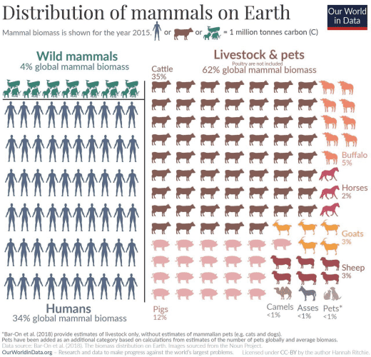 Infographic with various colored pictures to denote animals and humans with statistics regarding the Distribution of mammals on Earth, from Our World in Data.

Mammal biomass is shown for the year 2015.

Wild mammals 4% global mammal biomass

Livestock & pets 62% global mammal biomass

Humans 34% global mammal biomass

Pigs 12% 
Buffalo 5%
Horses 2%
Goats 3%
Sheep 3%
Camels <1%
Asses <1%
Pets <1%
