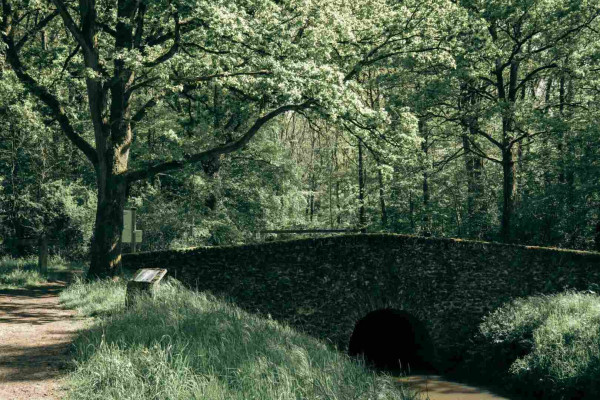 Picture of a stone bridge over a stream with a tall tree and a bench on the left side and nothing to be seen on the right side