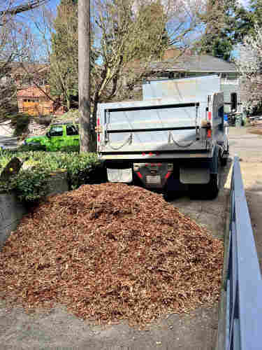 View up a driveway showing a pile of wood chips and beyond it, a dump truck. Trees and houses in the distance. 