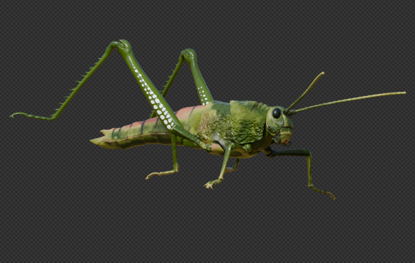 3D model of a grasshopper without its wings, almost fully textured.