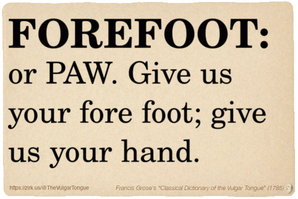 Image imitating a page from an old document, text (as in main toot):

FOREFOOT, or PAW. Give us your fore foot; give us your hand.

A selection from Francis Grose’s “Dictionary Of The Vulgar Tongue” (1785)