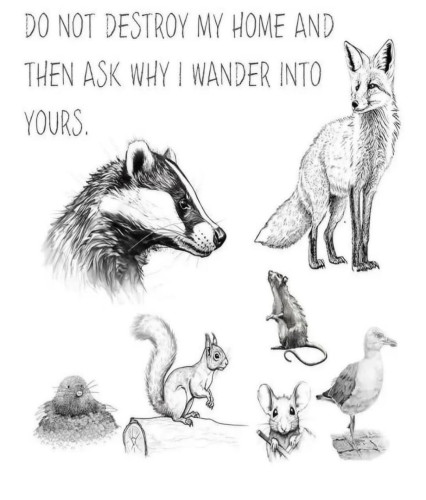 Do not destroy my home and then ask why I wander into yours. 

Drawing of badger, fox, squirrel, mouse, bird and mole