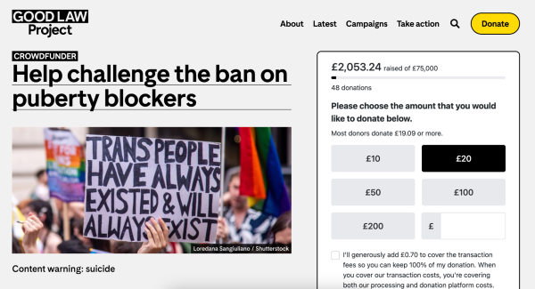 Screenshot of Good Law Project crowdfunder website.

Title: Help challenge the ban on puberty blockers

£2,053.24 raised of £75,000.

Illustrative photo of trans-supportive protest placard.