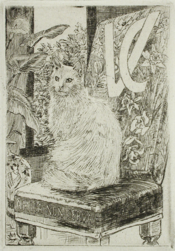 Etching of a longhaired white cat sitting up on an upholstered chair in a room next to a large houseplant. On the front of the seat cushion are the words "amica non serva", meaning "friend not servant".