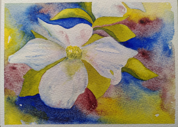 Watercolour white flower with some light green leaves. Background in blue, Potter's Pink and yellow.