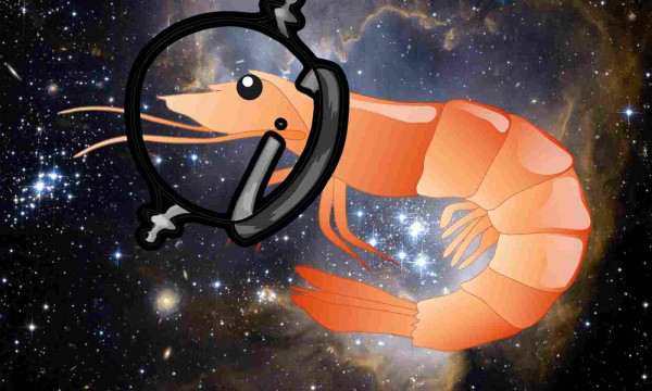 A cartoon shrimp in space wearing a space helmet 