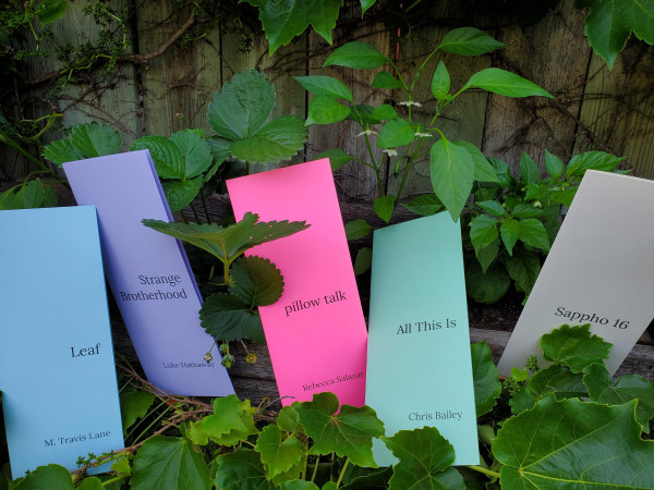 Five colourful Opaat Press poetry pamphlets are arranged amidst plants, leaves and vines on a wooden fence: Leaf by M. Travis Lane, Strange Brotherhood by Luke Hathaway, pillow talk by Rebecca Salazar, All This Is by Chris Bailey and Sappho 16