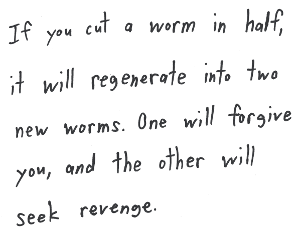 If you cut a worm in half, it will regenerate into two new worms. One will forgive you,  and the other will seek revenge.