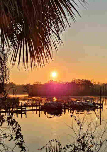 Very golden image of a sunrise over a small marina with speedboats docked. A golden haze floats above the waterline like a morning fog. The bright yellow sun has risen above a treeline on the opposite shoreline, providing golden reflections on the water below.