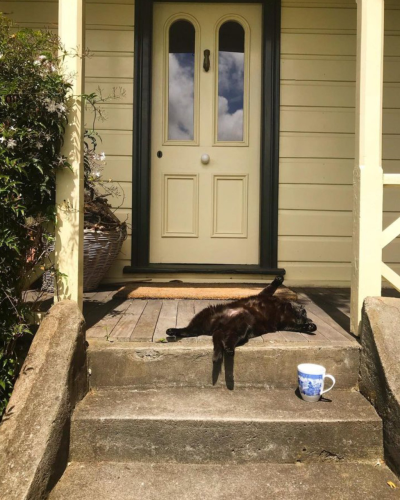 A black cat lies sprawled, on its back, on the front porch of a cottage. Its tail and one leg dangle over the first step. A blue and white coffee mug has been left by someone on the steps. 
