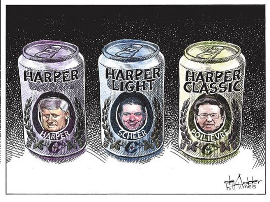 Three cans of beer
first can labelled Harper with image of former PM Harper
next can labelled Harper Light with image of Andrew Scheer
last can labelled Harper Classic with an image of Pierre Poilevre