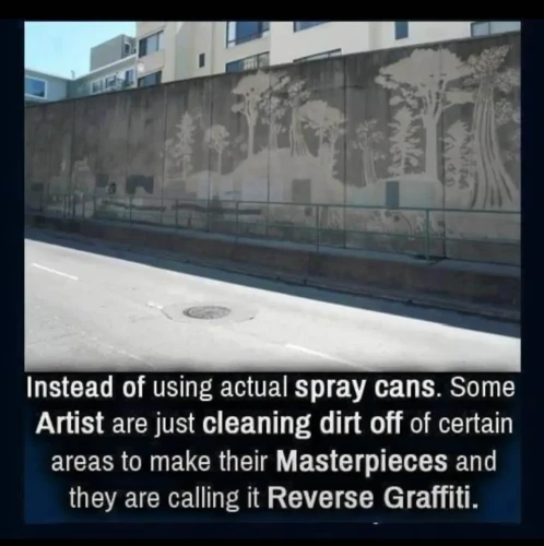 A picture with a text below.

[picture]
*shows a concrete wall where detailed trees and mounds have been shaped from white surfaces revealed from a dirty grey and black surface*

[text]
Instead of using spray cans, some artists are just cleaning dirt off of certain areas to make their masterpieces and they are calling it Reverse Graffiti.