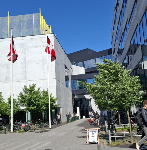 Outside a polling station in Aarhus today. We can see a road, a big white concrete school building, some people walking, two Danish flags on tall flagpoles in high wind, blue sky, and a sign ‘Indgang til valget’ - ‘Entrance to the election’
