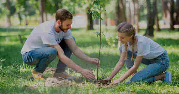 Two healthy young white people, a man and a woman, happily planting a tree on a sunny day. 