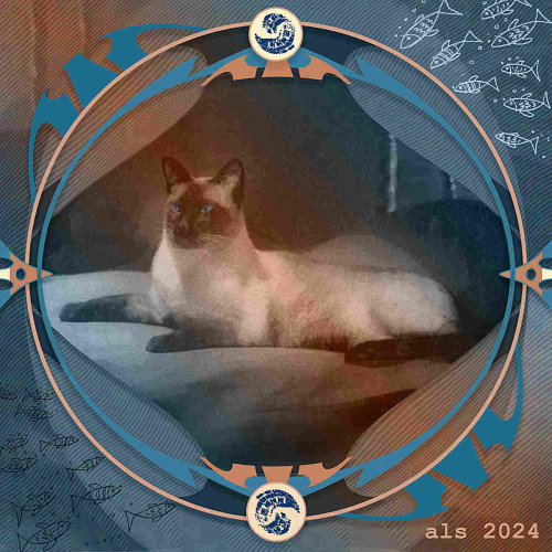Square composition with small, wavy diagonal lines curved softly for seawater feel. A 1960s photo of a Siamese cat resting on a bed with head upright and eyes open, facing left, is trimmed to a curved shape like an urn, or a diamond but with curved lines. Two thin circular outlines plus six Art Deco-ish cut bits and two 1940s buttons form a stylized frame in light blue, peach pink, and off-white around the cat. At two opposite corners are 1950s cartoon line drawings of fish schools swimming. They face inward to observe the cat. Gradient Overlay filter makes the cat mostly chocolate brown, but the color changes to soft blue around it and across the rest of the picture: the change being diagonal in the opposite direction of the tiny background lines.
