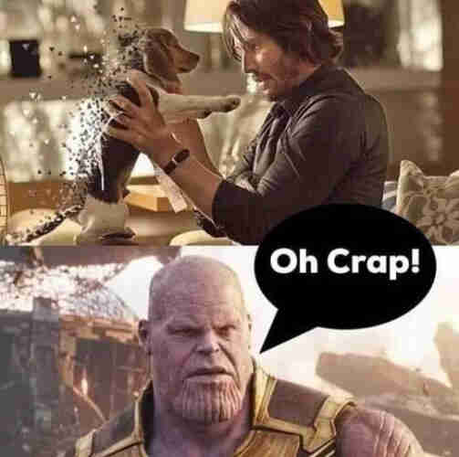 upper picture: John Wick holding his dog - which is dissolving into pieces
lower picture: Thanos watching this scene, saying "Oh crap..."