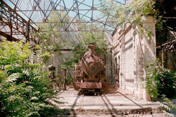 old steam train in a overgrown workshop