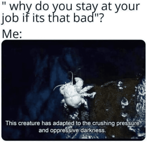 " why do you stay at your job if its that bad"? Me: (A little white crab) This creature has adapted to the crushing pressure and oppressive darkness.