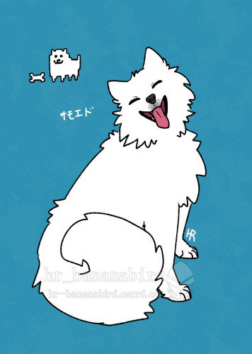 Digital art of a dog sitting and smiling towards the viewer. The dog is a breed called a samoyed and they have white fluffy fur, small triangle shaped ears and a curled tail. On the top left is a doodle of the Annoying Dog with a bone from Undertale.