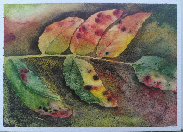 Watercolour Six leaves on one stem. The colours vary from yellow to green, red and brown. Dark background.