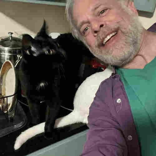 A white cat on a counter, obscured by a smiling human. A black cat next to the white cat is looking at the human and planning his move.