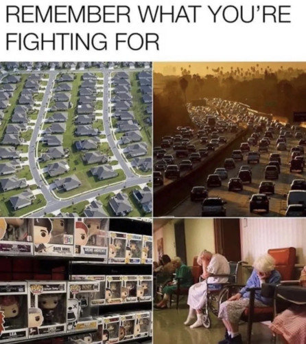 Still image. Four panel meme, top text:
REMEMBER WHAT YOU'RE FIGHTING FOR

Picture of rows and rows of mcmansions, picture of a 10+ lane highway clogged at sunset, picture of rows of funko pops, picture of elderly folks asleep in chairs in a group setting. 