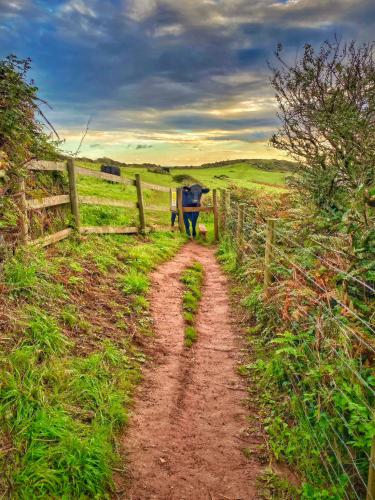 A walk in the English countryside, down a path that ends. At the end of the path is a cow behind a fence looking very curious as to why someone is here? The countryside is lush and green and the sky is painted with beautiful pastels of the easy morning.