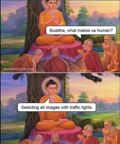 2 panels with identical images of Buddha sitting in front of a tree with 5 disciples sitting in front of him.

Panel 1: Disciple asks 'Buddha, what makes us human?'

Panel 2: Buddha replies, 'Selecting all images with traffic lights.'