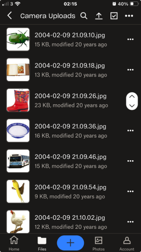Screenshot of camera upload images, with thumbnails showing a beetle, a book, a boot, a bowl, a bus, a yellow bird, and a chicken.