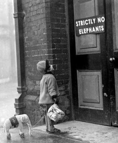 Vintage b&w photo of a little girl, pulling a small toy elephant on wheels behind her on a string, looking up at a door with a large sign reading "STRICTLY NO ELEPHANTS"