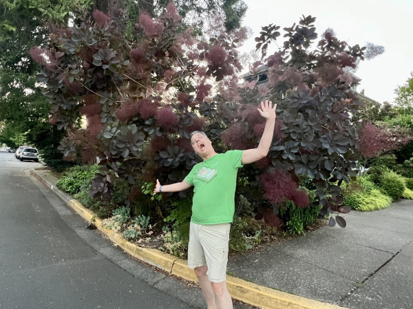 A man in a green t-shirt and shorts is standing in front of a tree-bush-thing and leaning back, waving arms wildly, pretending to scream.